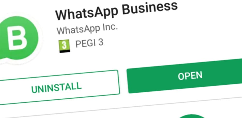 WhatsApp Business è arrivata in Italia